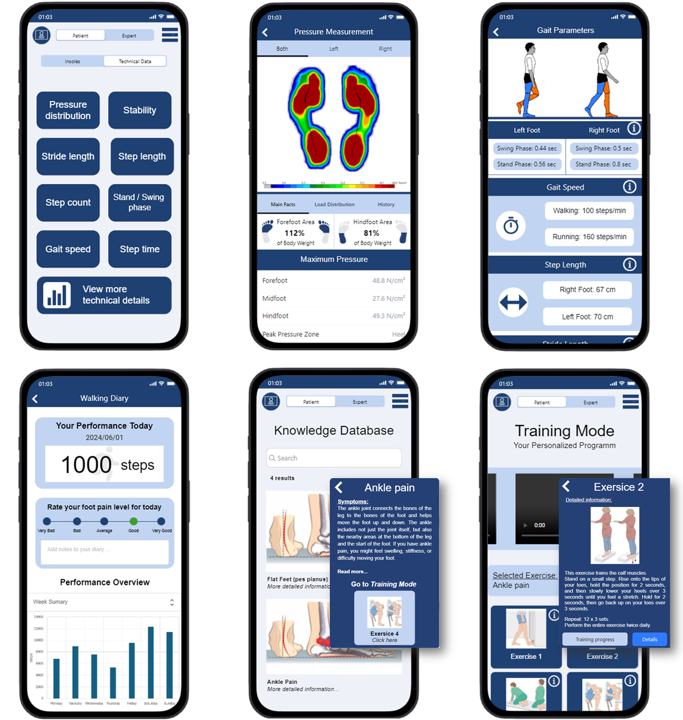 Usability Evaluation of a Mobile Application for Foot Health Monitoring of Smart Insoles: A Mixed Methods Study